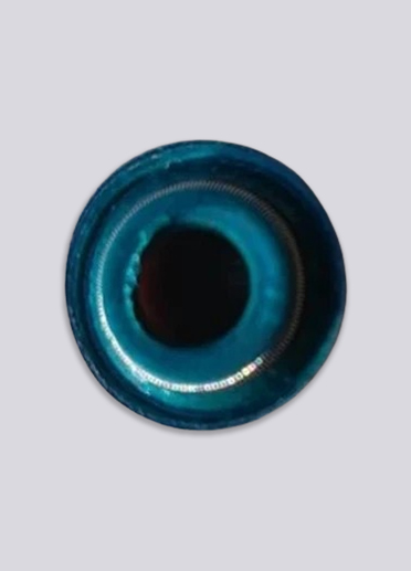 Nozzle Holder